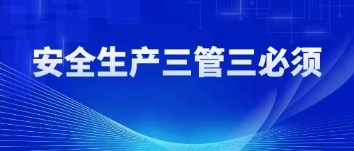大连市应急管理局关于开具《安全生产无违法违规证明工作程序》的通知
